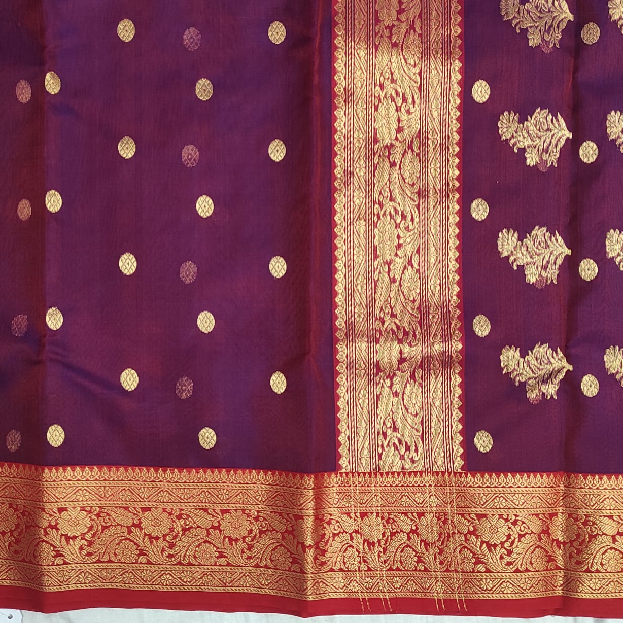 Chanderi saree in Tissue Silk A173 - ArtsyIndia