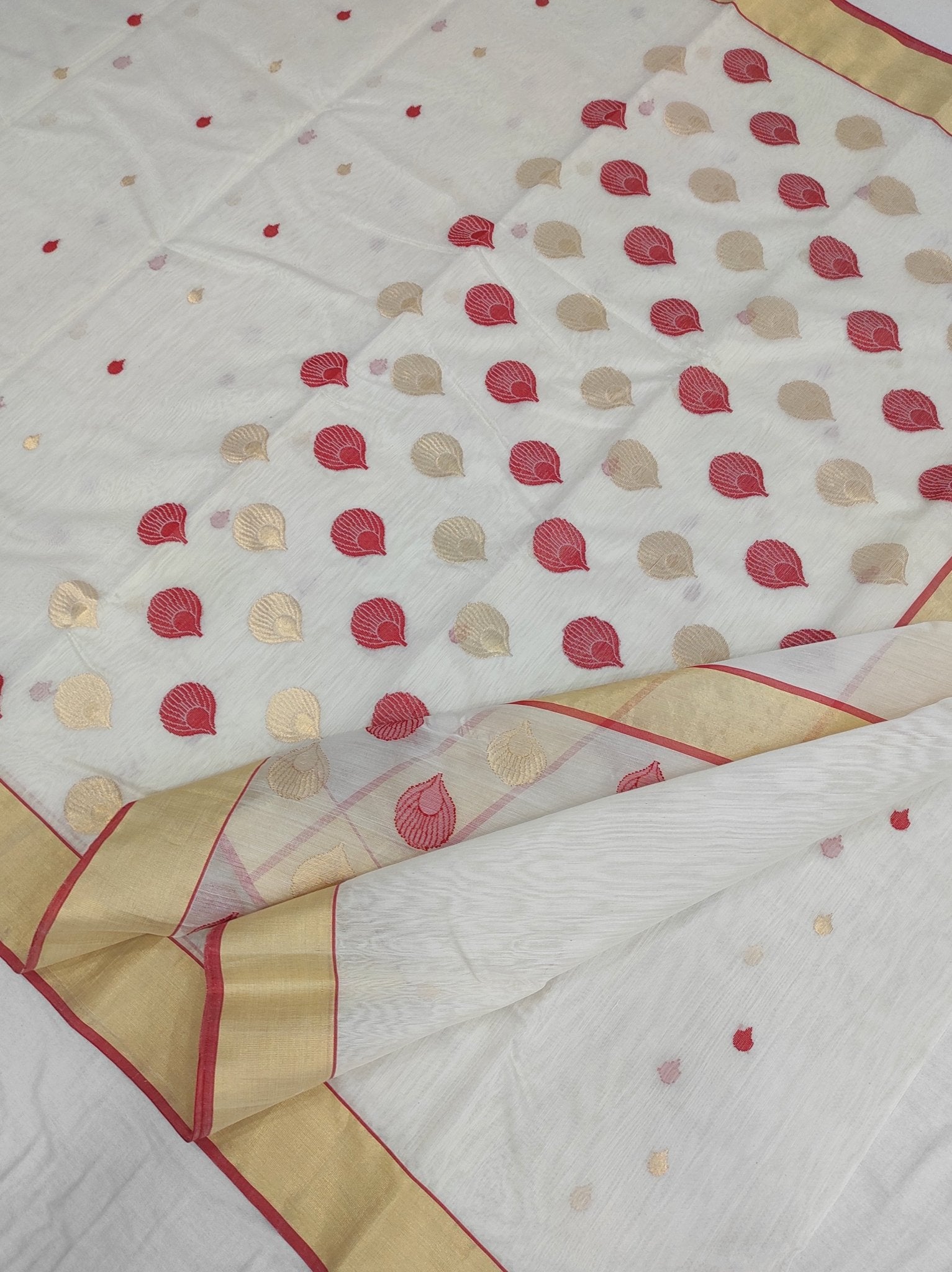 Off white Cotton Chanderi Saree with Zari Border